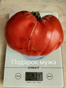 IMG_20250901_111018~2.jpg