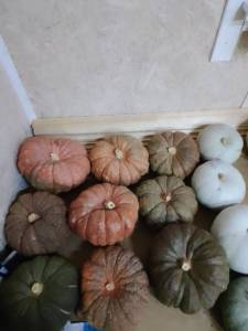 изображение_viber_2025-10-12_20-45-09-594.jpg