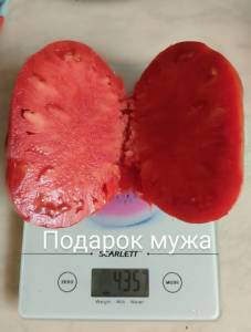 IMG_20250901_111059~2.jpg
