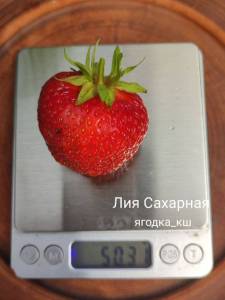 1700214054_lia1.thumb.jpg.35639640d981d84ce091e5c3b8f71d19.jpg