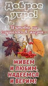1737114265_WhatsApp2025-10-2011_30.01_232ddbae.thumb.jpg.662ab34df99c1de734ad884465f743ff.jpg