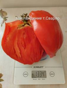 IMG_20250930_101518~3.jpg