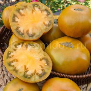 1871553802_tomat-gnom-korolevskij-galstuk-dina(9)-900x900.thumb.jpg.1662fadc2c5fd6e50f1cacbb095b0271.jpg