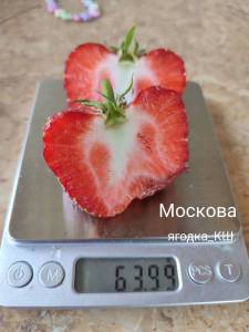 187327227_moscova1.thumb.jpg.52b5692420b2c1c7485c0154bd6278c1.jpg