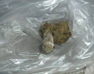 2.thumb.JPG.759bdb96ffa1b6625b1b547b6ea2a6d7.JPG