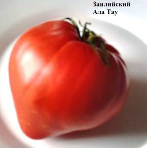 2018910490_.thumb.jpg.6c66f0e8ea7b589ae963ba6d001db2b2.jpg