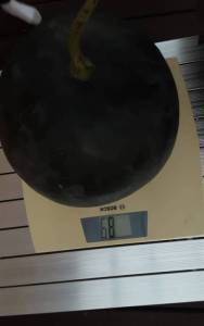 20250914_193200.jpg