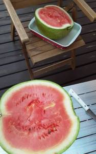 20250914_193321.jpg