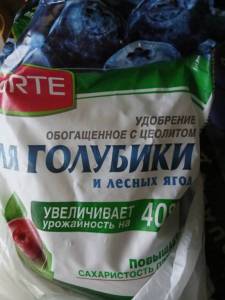 20251004_174217.jpg
