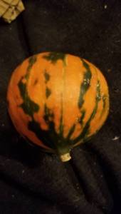 20251021_215031.thumb.jpg.be1b892598cebb30457e424c709dfa5e.jpg
