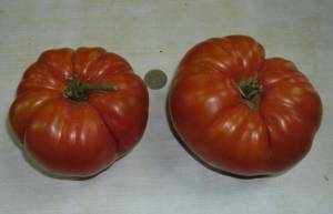 3.thumb.JPG.723fc18b751ec7f497bc03660930eec0.JPG