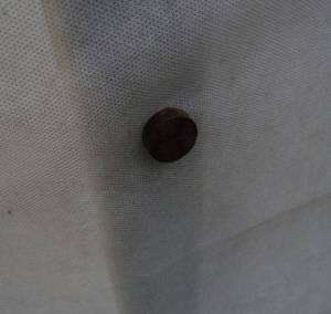 3.thumb.JPG.f849375b66438a8df5ed437041e6d1c2.JPG