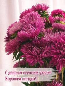 354-kartinki-s-dobrym-osennim-utrom-186.jpg