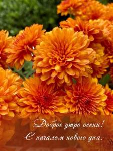 354-kartinki-s-dobrym-osennim-utrom-79.jpg