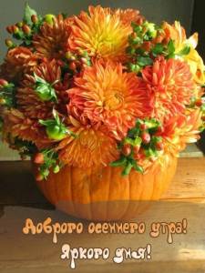 354-kartinki-s-dobrym-osennim-utrom-90.jpg