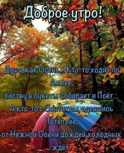 375950f8487d08e3e61c4546683eead3.jpg