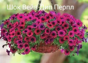 3HInEeQyTq2s503qkfL0iJhuq5qGoARj16nd4Hbz5u7C0lYmFHcLXWLwrPVItBBdyiK_9Qrc.jpg