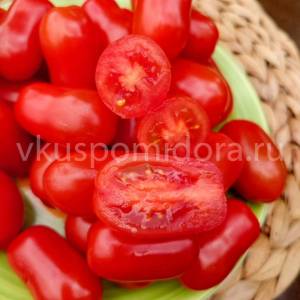 496371614_tomat-flaschentomaten(11)-900x900.thumb.jpg.bd87ef6b9a84d9b430a1a9396104bd49.jpg