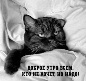 4clAmu6xD8eUf9YUNrJMumZbsiDTACC3tC5fkHiGFa6Cjf-q4DRrbWKtJbNKqX6unkJkpgQ3Qa5cR9v0_7jYRVVz.thumb.jpg.4bd2f37206751c6e9f86454280162613.jpg