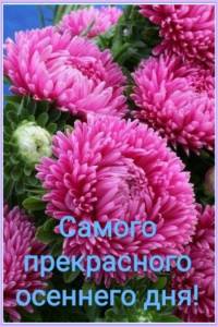 50107ebe2ac1eb06a0daadbf575e616d.jpg