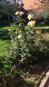 5415DBCE-0E63-4C08-AADF-2EEB16F8BBA5.jpeg