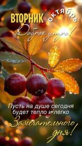 5a9103c9c8453fd9c025ccee25c17fdf.thumb.jpg.5013a1310be6c0916007b589abe94141.jpg