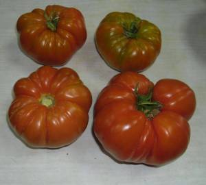 6.thumb.JPG.125fd0d5817472e5aa0aaf664b423d46.JPG