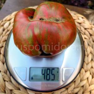61212755_tomat-stradaj-dostojno-suffer-well(2)-900x900.thumb.jpg.709a6fc202f38a67eb7d7d22d4b9a2e2.jpg