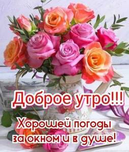 7dba29da75e0d155c7bb58d621a3669a.jpg