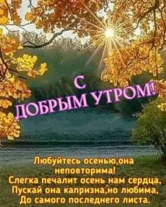 97bae90afbd32a8e9e0d6893029ad11a.jpg