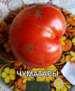 Compress_20250901_165726_6070.thumb.jpg.a8ce5620cda212aee5fc35c533c8526e.jpg