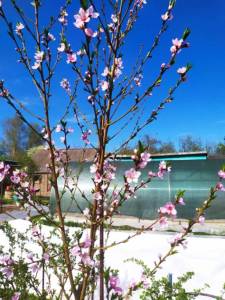 IMG-20250908-WA0000.thumb.jpg.1fc3ef99e65a07cbfbaec1fe23f47e05.jpg