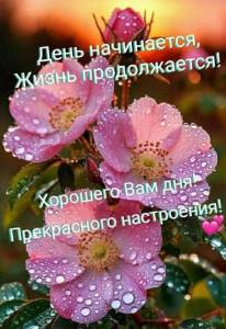IMG-20250924-WA0003.jpg