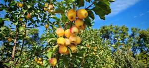 IMG-20250927-WA0091.jpg