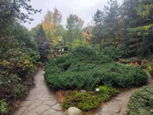 IMG-20251007-WA0057.jpg