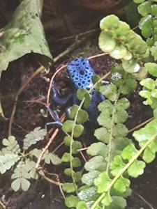 IMG-20251007-WA0106.jpg
