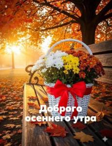 IMG-20251008-WA0005.jpg