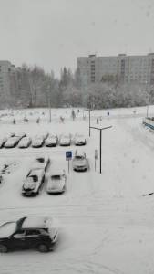 IMG-20251009-WA0015.jpg