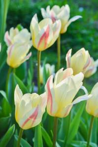 IMG-20251010-WA0006.thumb.jpg.519c7d74640032a40b92a0a7f912df8b.jpg