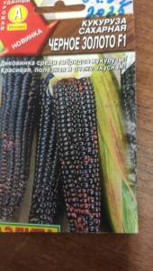 IMG-20251010-WA0008.jpeg