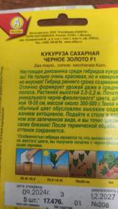 IMG-20251010-WA0010.jpeg