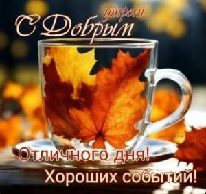 IMG-20251011-WA0010.jpg