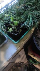 IMG-20251012-WA0023.jpeg