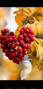 IMG-20251013-WA0003.jpg
