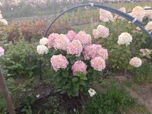 IMG-20251013-WA0022.jpg