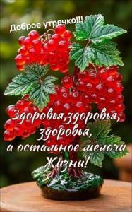 IMG-20251018-WA0000.jpg