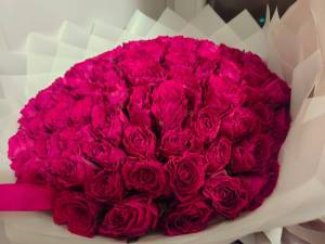 IMG-20251019-WA0038.thumb.jpg.740868f9f653dc9e4e44c223a4302021.jpg