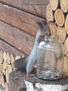 IMG-20251027-WA0003.thumb.jpg.50229eb051875f2e7138ebdb7e78e4cf.jpg