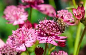 IMG_0015.jpeg
