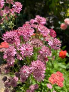 IMG_0286.jpeg